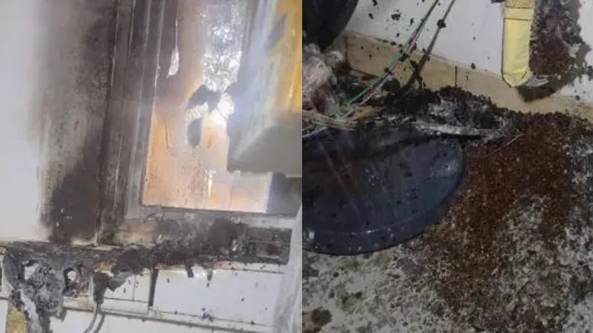 multimedia.normal.9adf0946d598dc9c.bm9ybWFsLndlYnA=