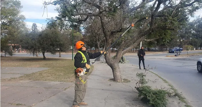 Captura de pantalla_12-11-2024_12261_prensa.municipalidadsalta.gob.ar