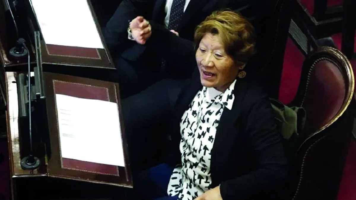 bedia_senadora-la-libertad-avanza-100jpg