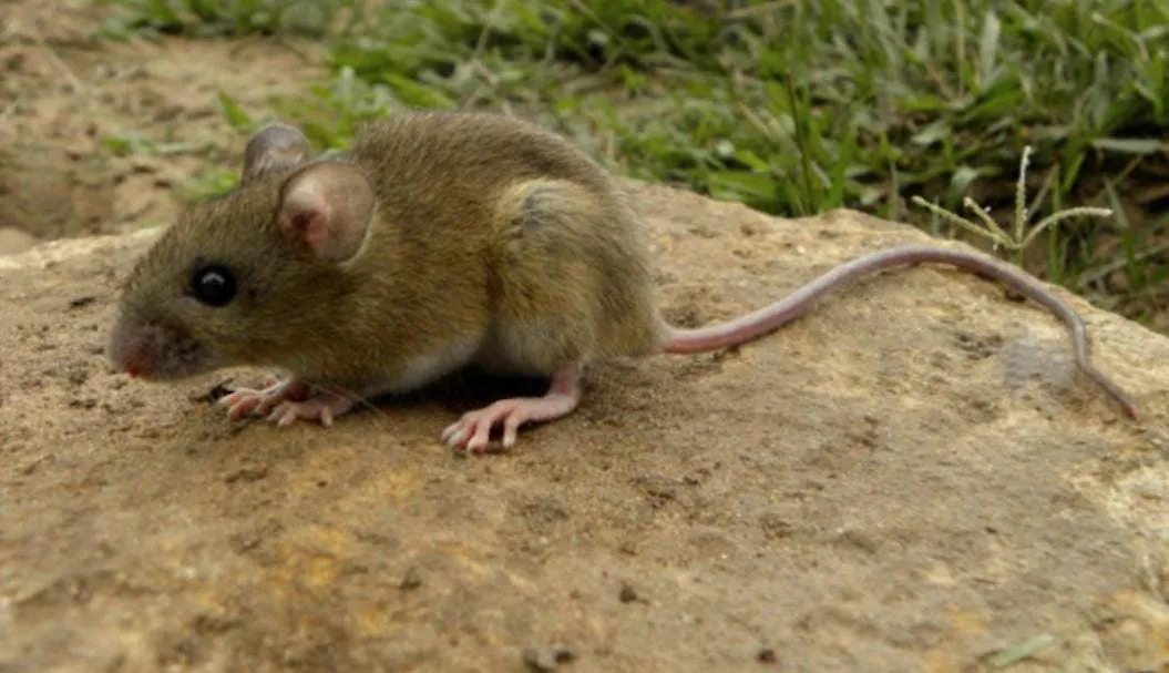 WhatsApp Image 2025-10-06 at 19.46.32