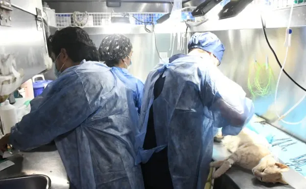 Captura de pantalla_22-1-2026_17225_prensa.municipalidadsalta.gob.ar