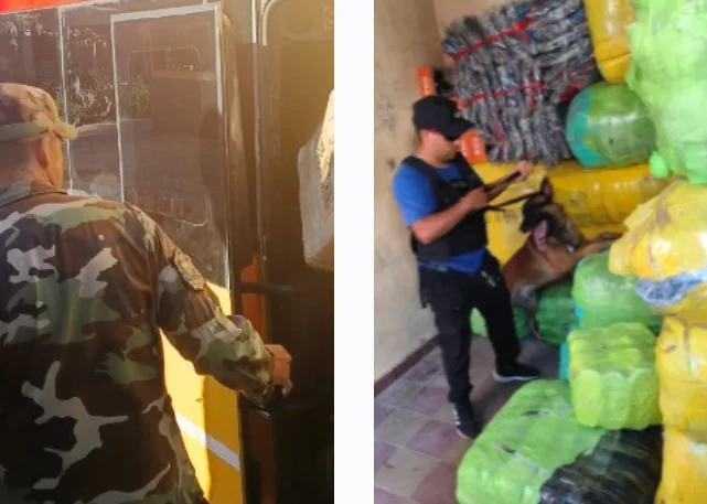 Captura de pantalla 2026-03-30 152143