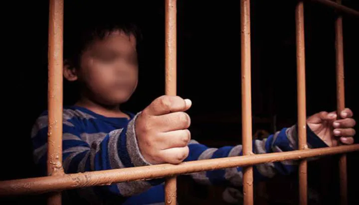 WhatsApp Image 2026-02-12 at 09.46.42