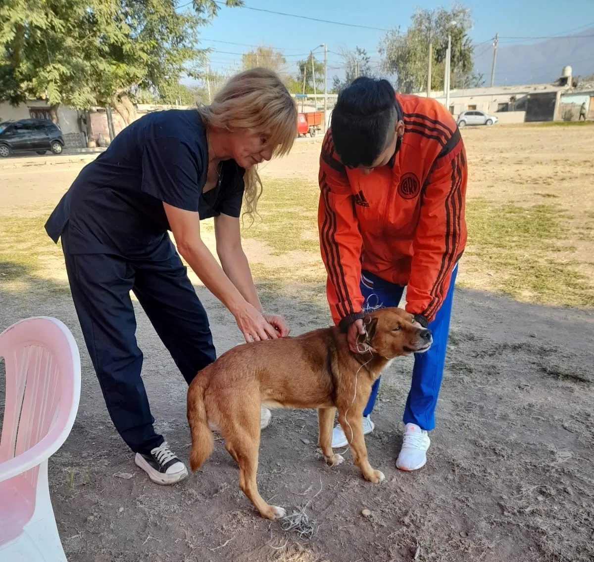 vacunacion-antirrabica-27-jpg