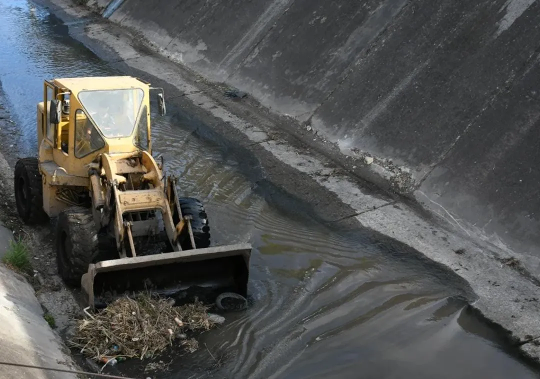 WhatsApp Image 2025-09-03 at 11.40.01