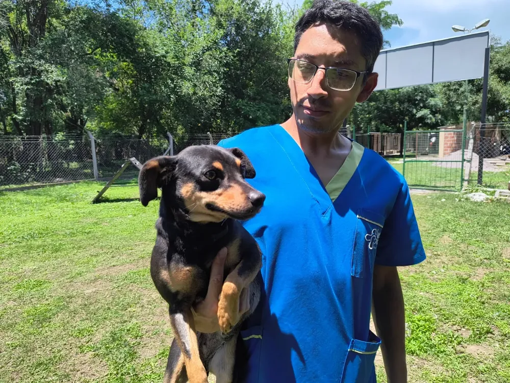 perros-centro-de-adopcion-2-jpg