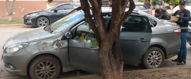 Captura-de-pantalla-2025-05-02-093935