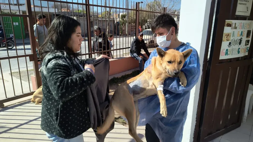 castracion-solidaridad-5-1536x864