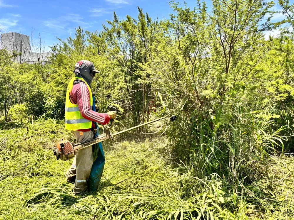 baldio-barrio-santa-laura-2-scaled