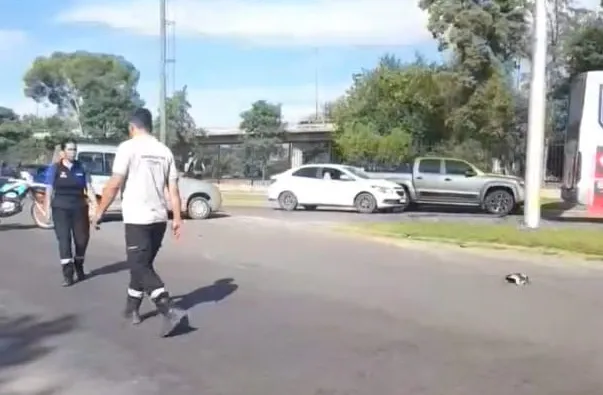 multimedia.normal.a3f9a82b7de97965.bm9ybWFsLndlYnA=