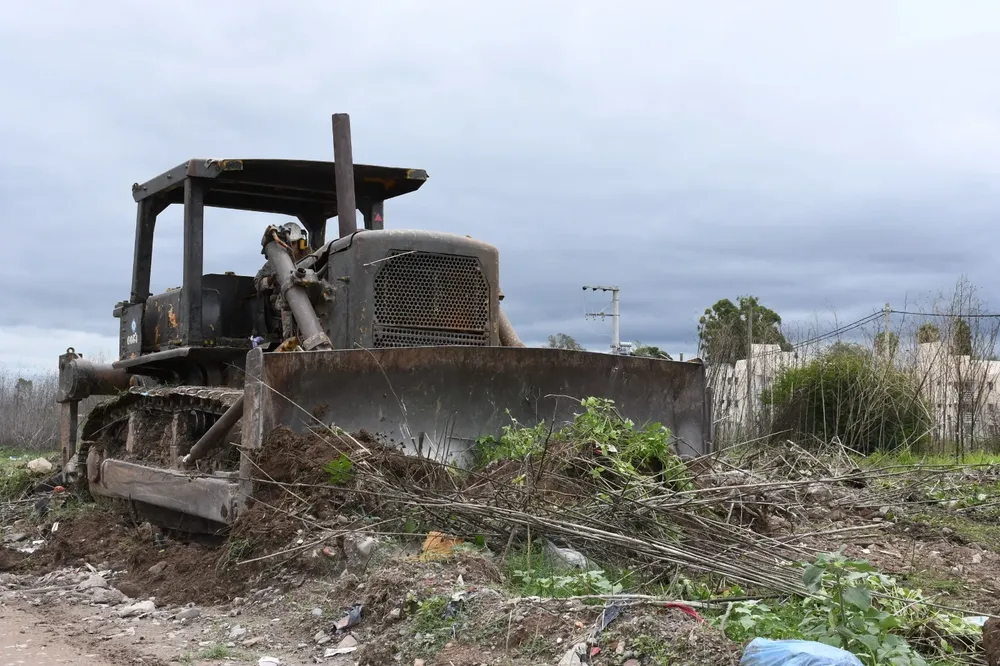 limpieza-de-baldio-calixto-1