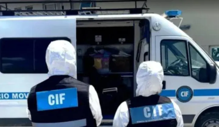 WhatsApp Image 2026-02-09 at 12.03.59