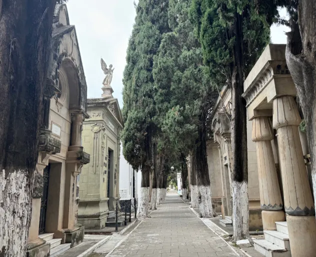 Captura de pantalla_31-10-2025_15048_prensa.municipalidadsalta.gob.ar