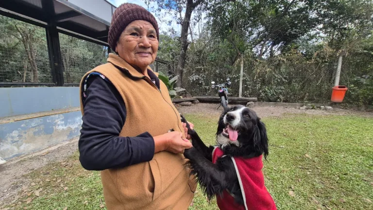 perro-encontrado-1-768x432