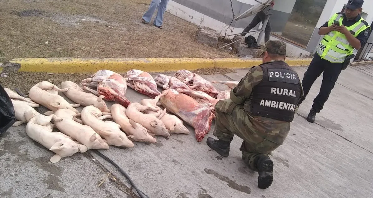 Imagen-de-WhatsApp-2023-11-22-a-las-11.34.55_6260c2bf