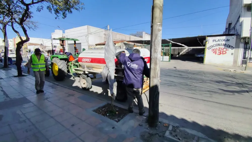 riego-de-nuevos-arboles-4-1536x864