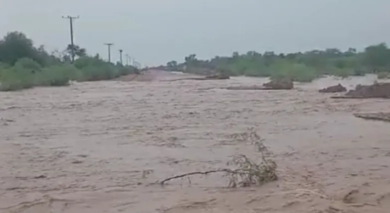 Captura de pantalla 2025-03-15 173147