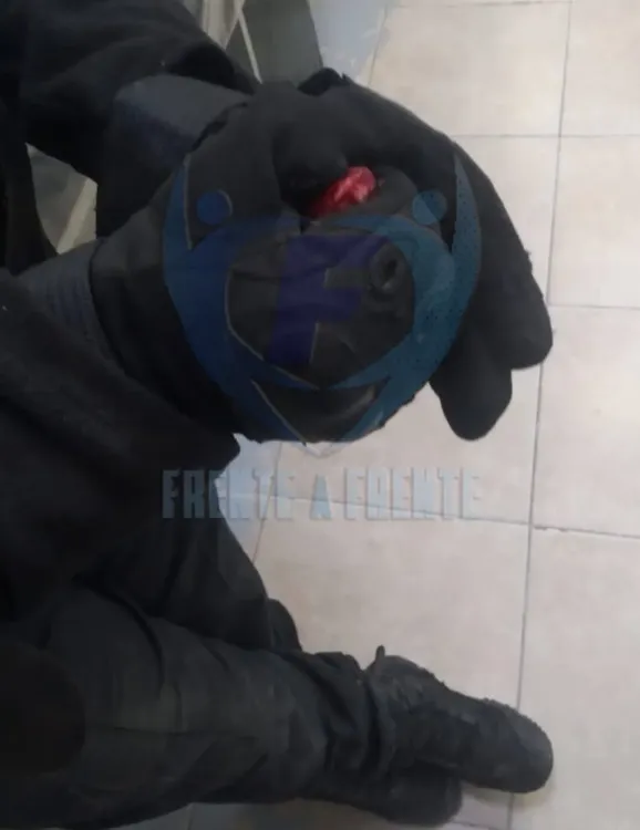 WhatsApp Image 2025-07-08 at 10.01.37