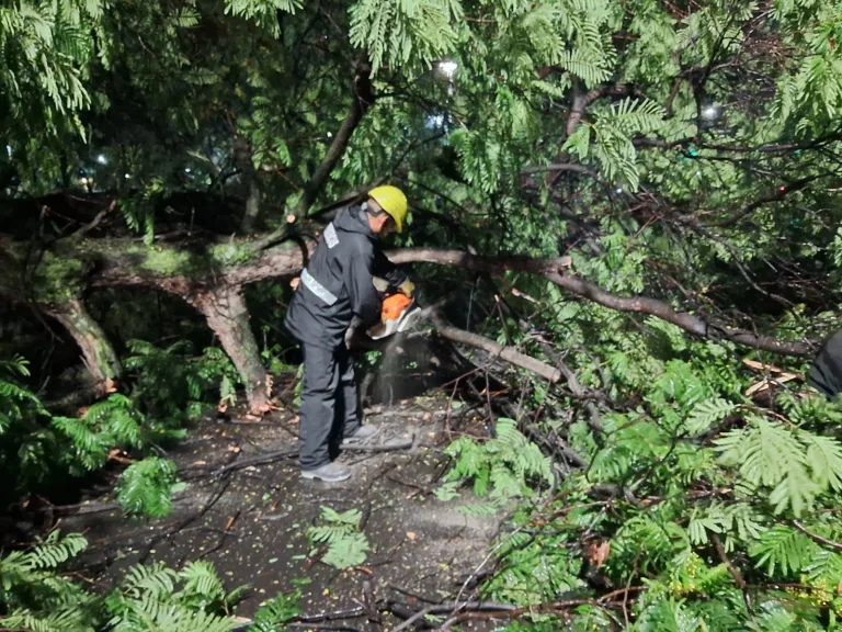 incidentes-por-lluvia-1-768x576