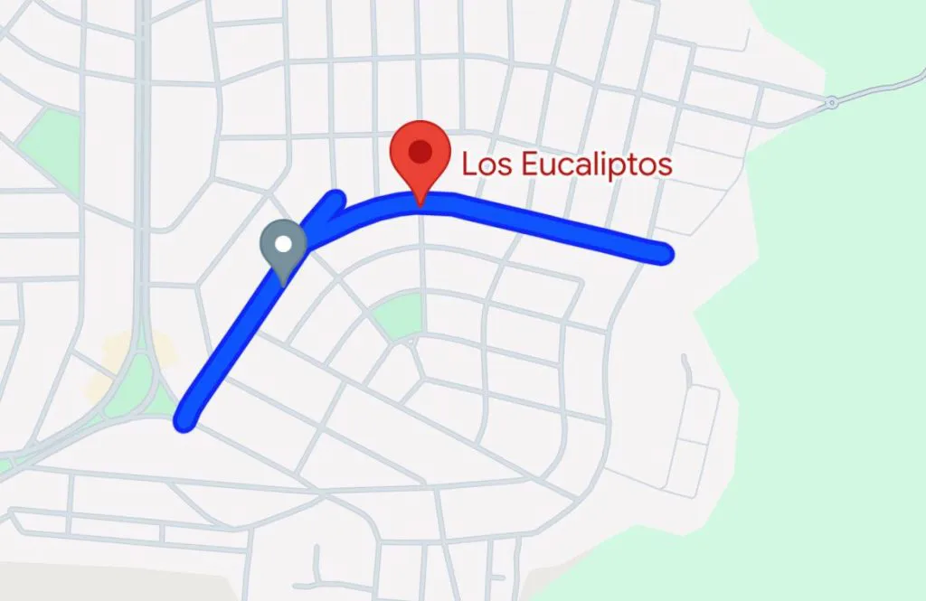 los-eucaliptos-2-1024x665