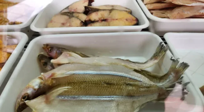 Captura de pantalla 2026-03-12 104807