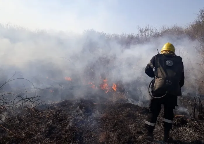Captura de pantalla_26-6-2025_13748_prensa.municipalidadsalta.gob.ar