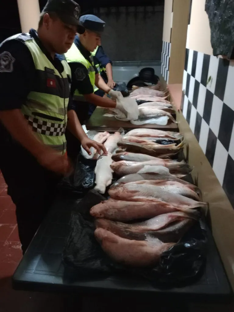 Imagen-de-WhatsApp-2024-03-14-a-las-20.56.22_abc39a96-768x1024