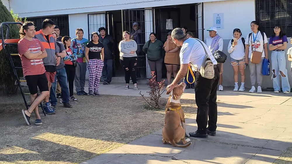 taller-perros-peligrosos-2-1536x864