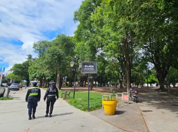 Captura de pantalla 2024-11-21 201243