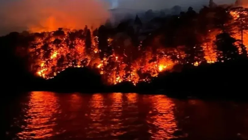 Captura de pantalla 2025-02-10 200016