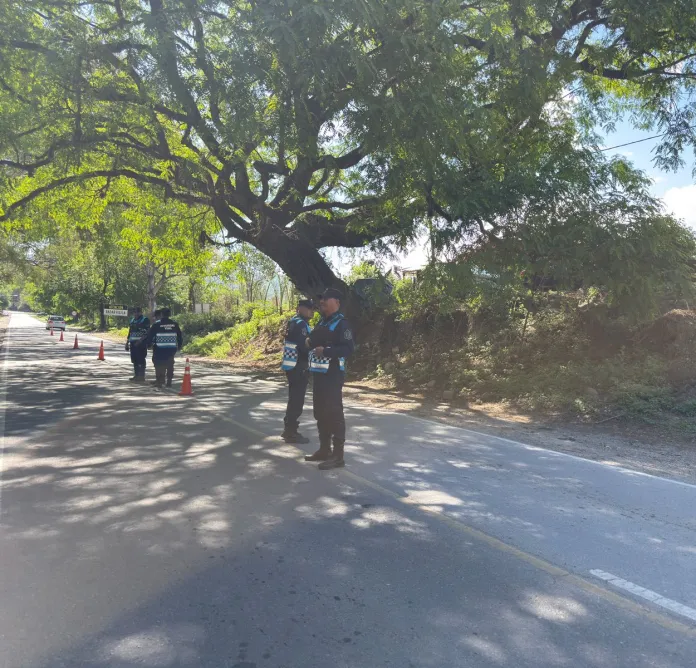 WhatsApp-Image-2025-11-03-at-09.16.35-1-696x668