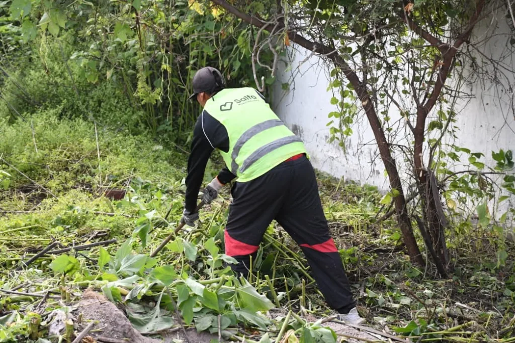 limpieza-de-terreno-y-vereda-6-1024x683
