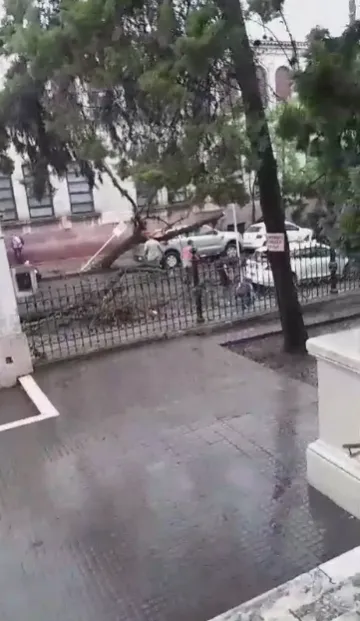 Captura de pantalla 2023-12-18 185342