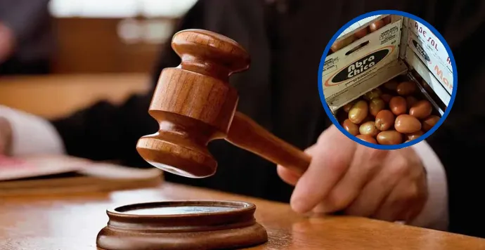 Captura de pantalla 2024-08-06 231329