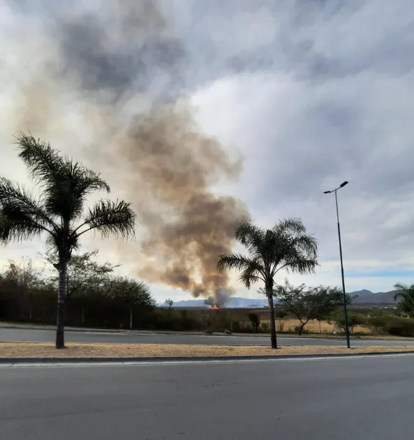 Captura de pantalla 2024-08-06 175410