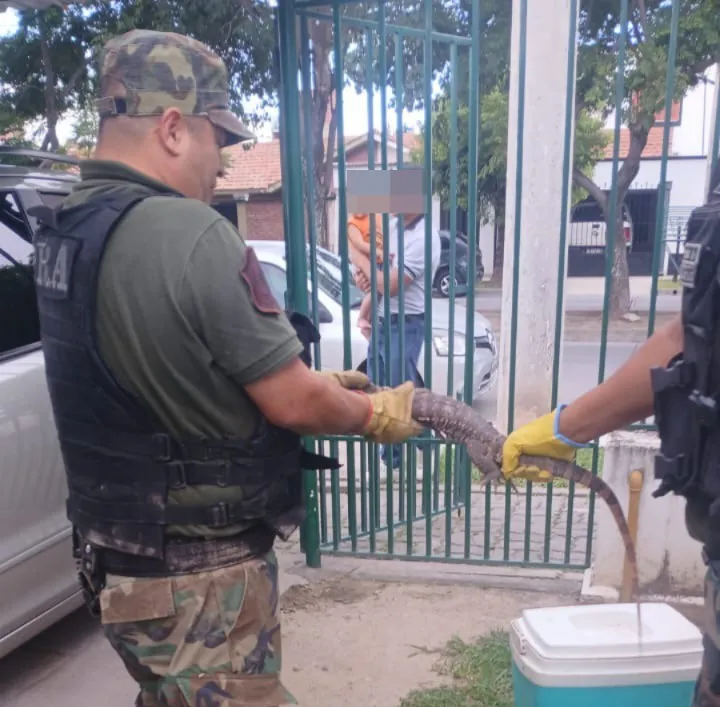 616819041_1420698392759748_4698636698467723520_n