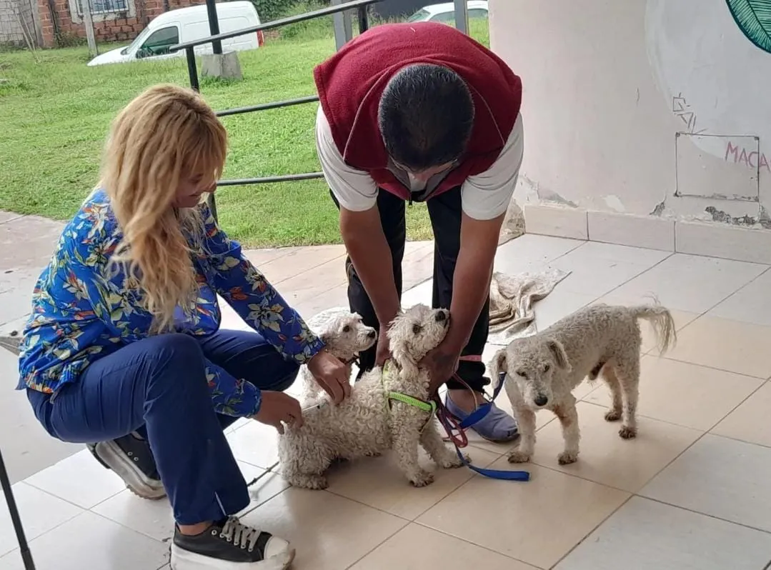 WhatsApp Image 2025-07-04 at 12.19.51