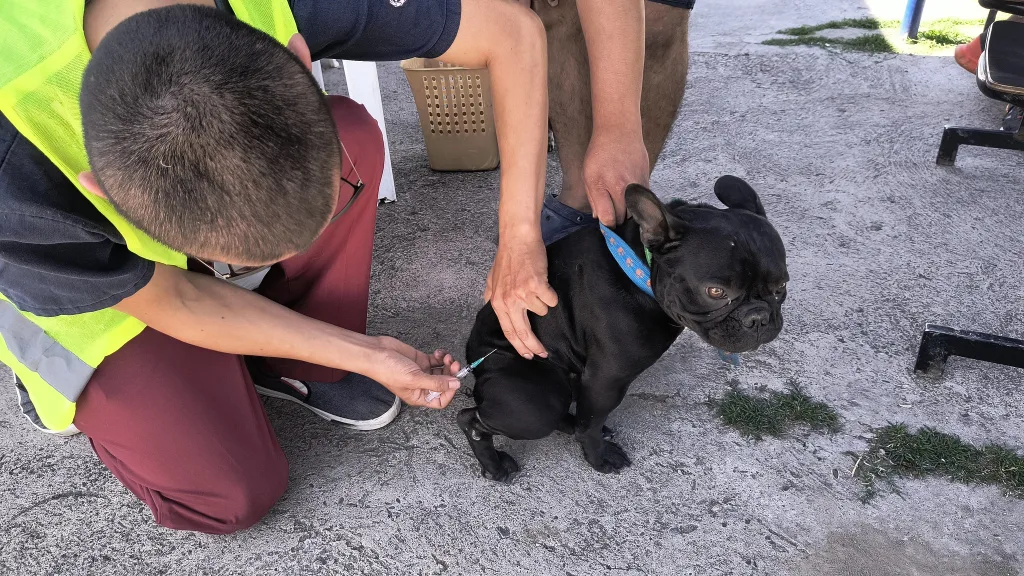 vacunacion-solis-pizarro-1-1024x576