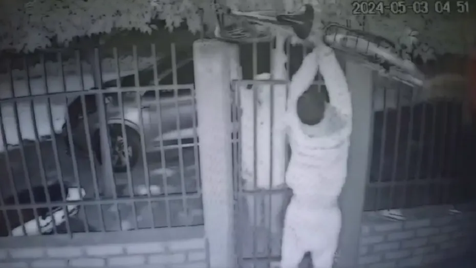 Captura de pantalla 2024-06-05 003150