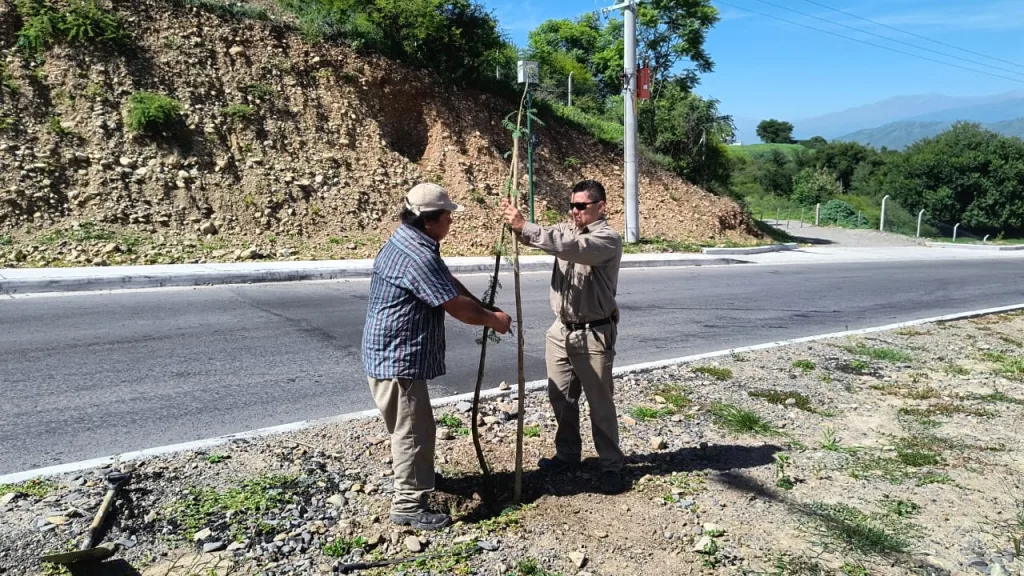 plantacion-av-libertador-3-1024x576