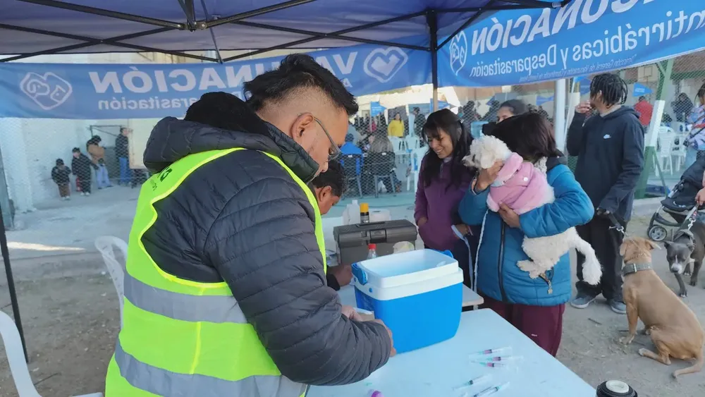 muni-en-tu-barrio-san-jose-8-vacunacion-antirrabica-1536x864