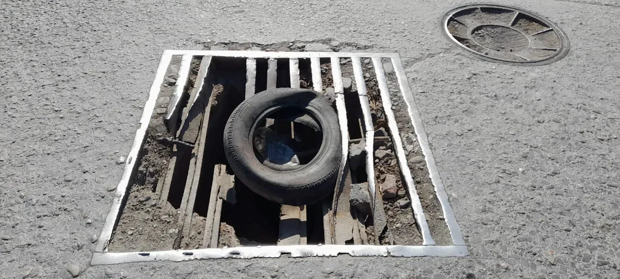 multimedia.normal.b829e2186aa733d4.V2hhdHNBcHAgSW1hZ2UgMjAyMy0xMS0xMCBhdCAwNy5fbm9ybWFsLndlYnA=