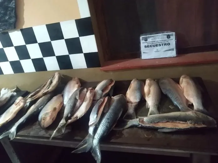 Imagen-de-WhatsApp-2024-03-19-a-las-20.10.30_8ccf8086-696x522