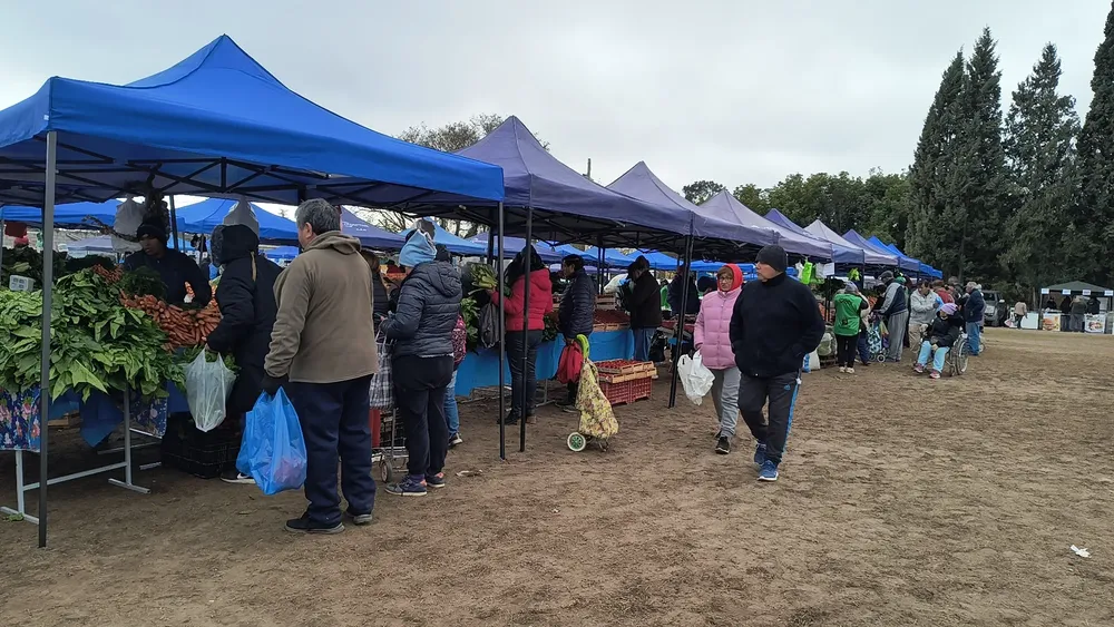 el-mercado-en-tu-barrio-31-jpg