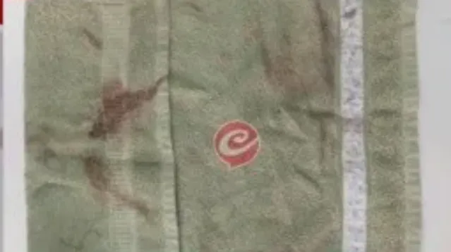 Captura de pantalla 2024-07-04 025332