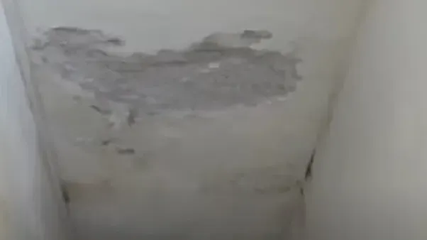 multimedia.normal.a8717e1c98124b92.Y2llbG9ycmFzbzFfbm9ybWFsLndlYnA= (1)