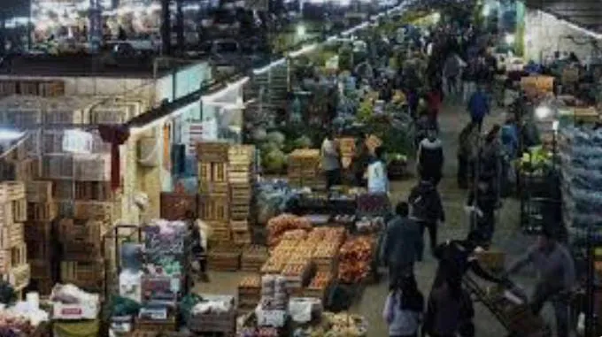 WhatsApp Image 2025-12-01 at 10.47.54