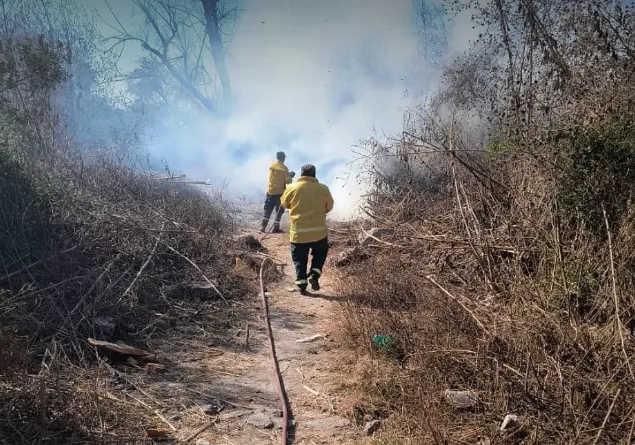 Captura de pantalla 2024-08-03 124933