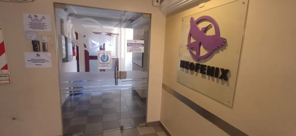 UDEC_Neofenix01-1024x472