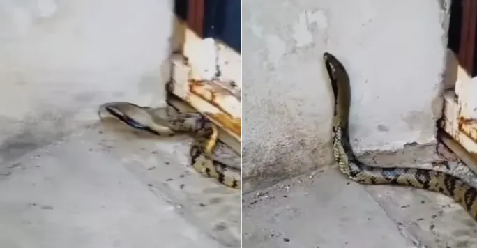 Captura de pantalla 2025-12-10 150607